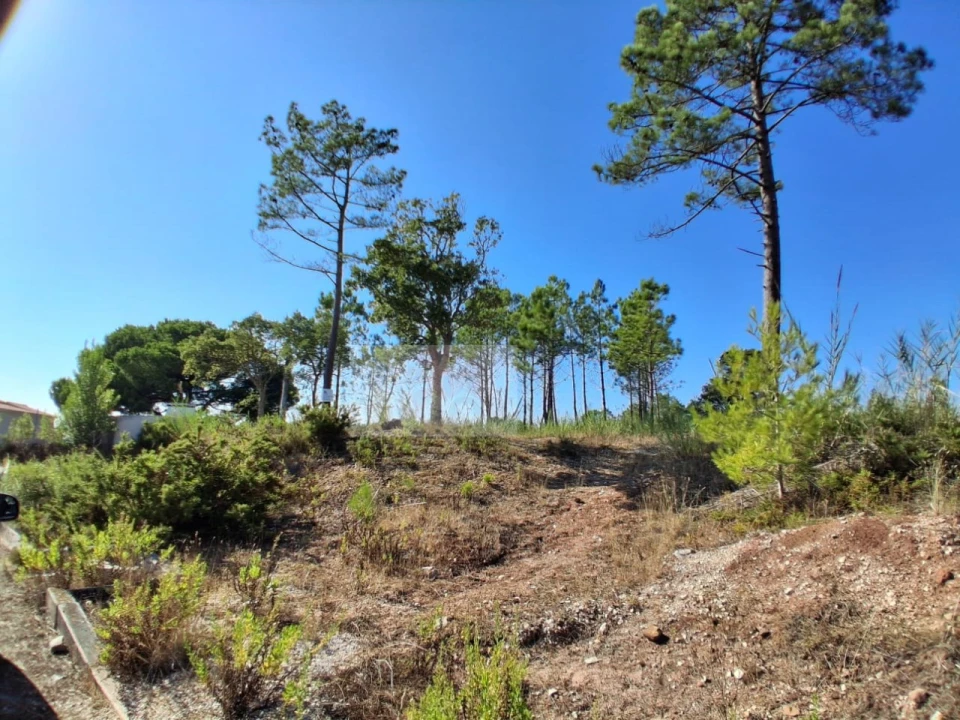 Terreno para Venda em Nadadouro Foto 3