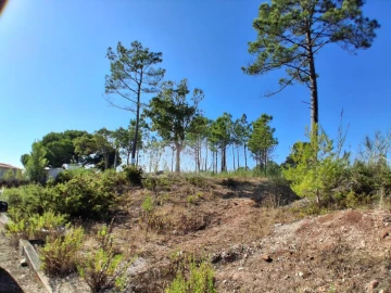 Terreno para Venda em Nadadouro