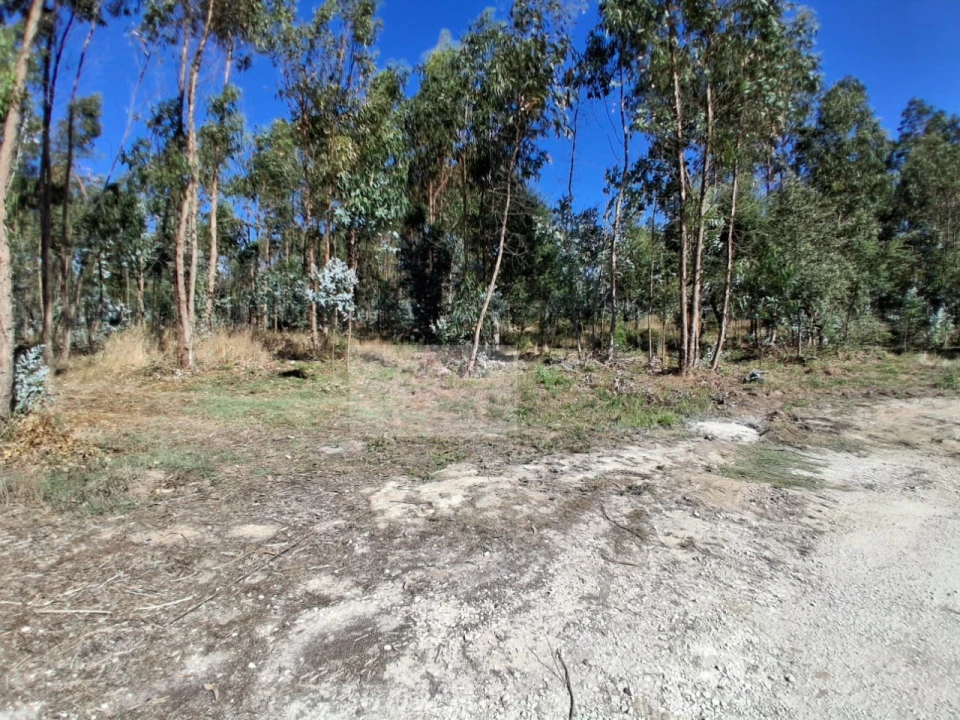 Terreno para Venda em Calvaria de Cima Foto 1