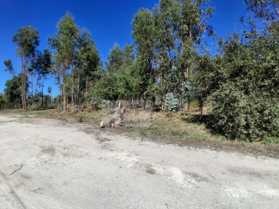 Terreno para Venda em Calvaria de Cima Foto 2