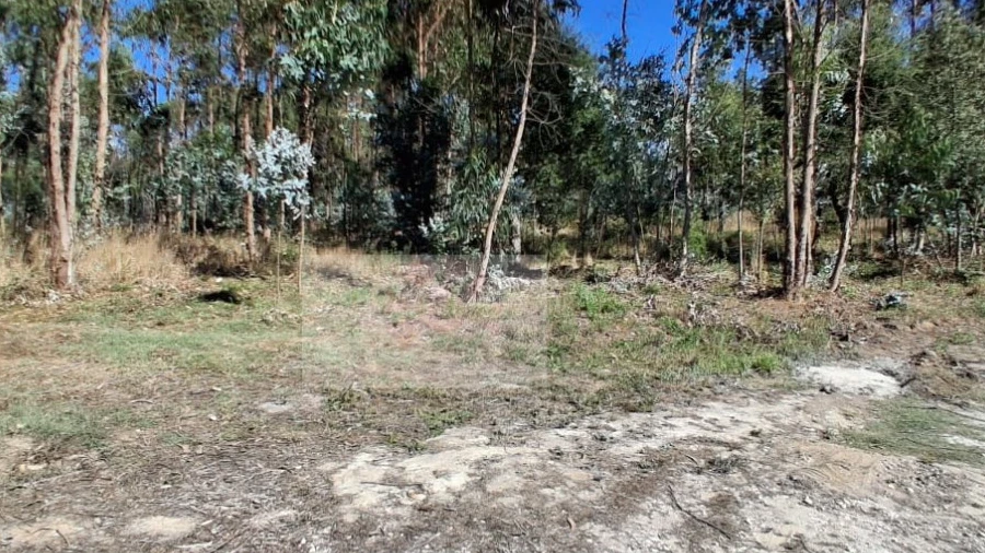 Terreno para Venda em Calvaria de Cima