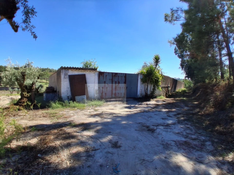 Quinta para Venda em Calvaria de Cima Foto 3
