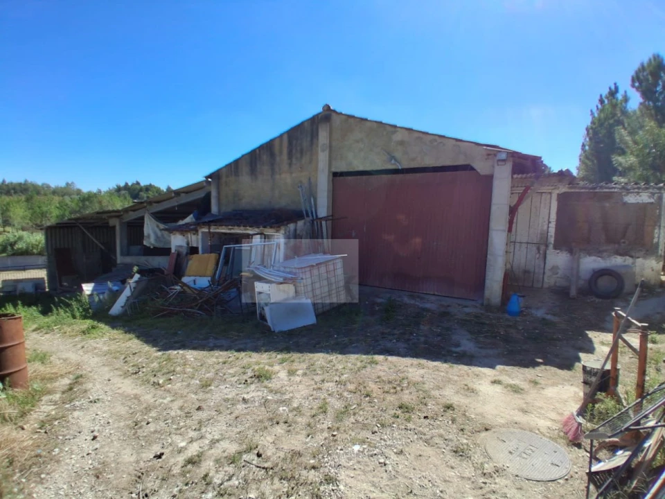 Quinta para Venda em Calvaria de Cima Foto 4