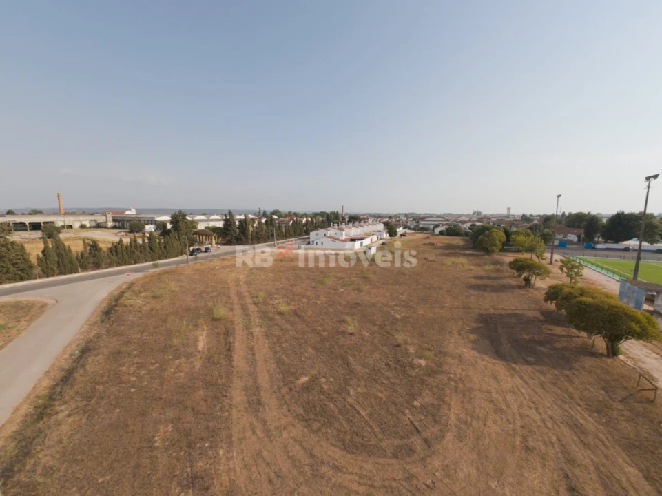 Terreno para Venda em Azinhaga Foto 5