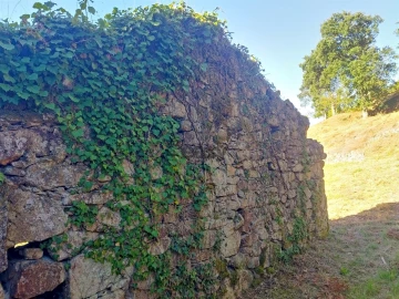 Moradia T3 para Venda em Covas