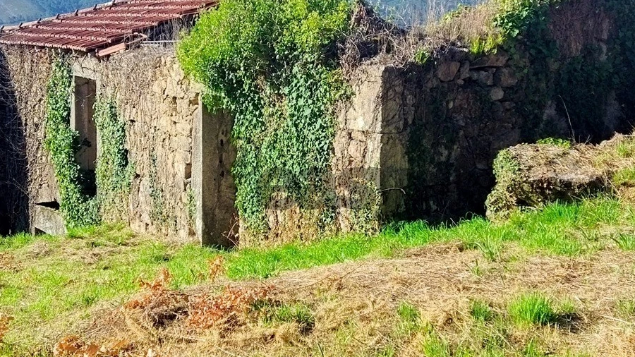 Moradia T3 para Venda em Covas