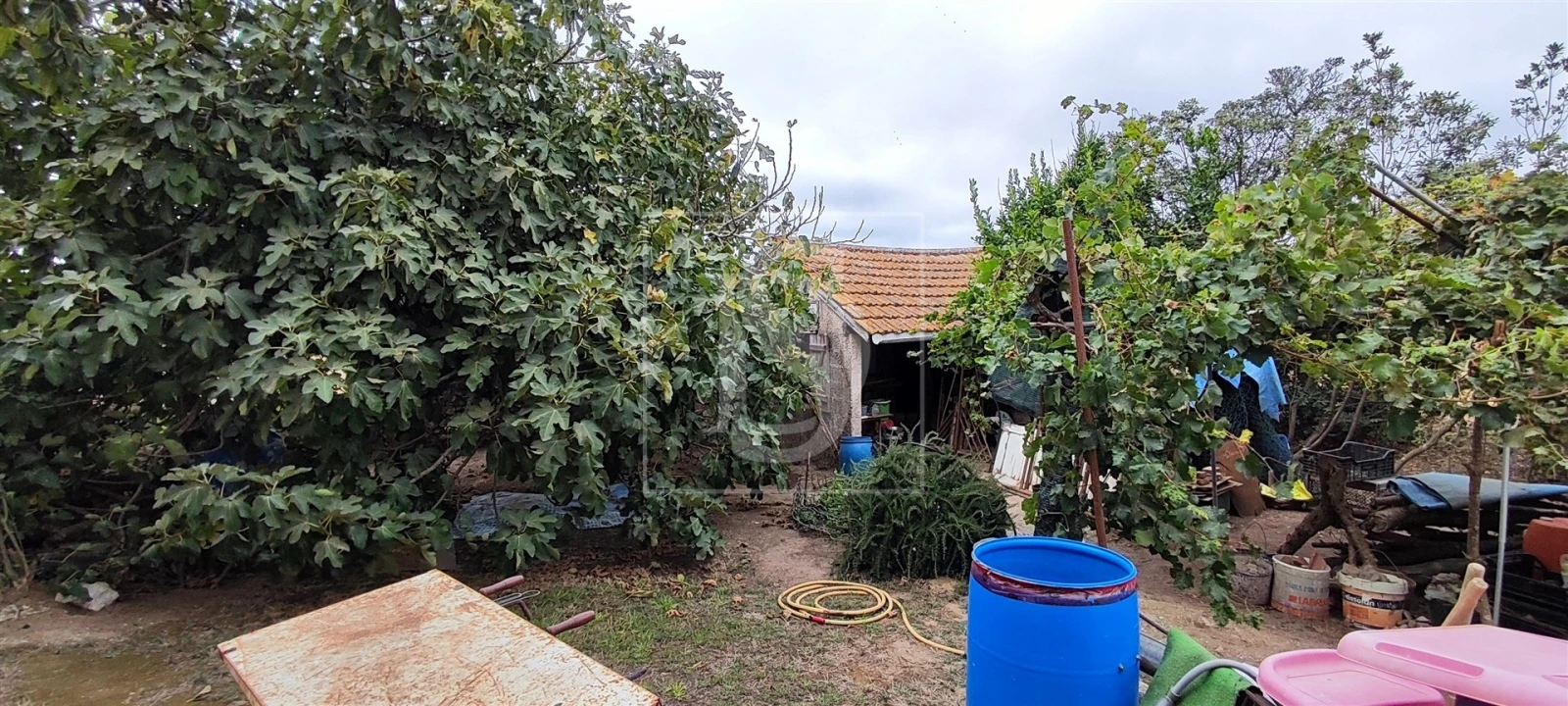 Moradia T4 para Venda em Lourinhã e Atalaia Foto 689