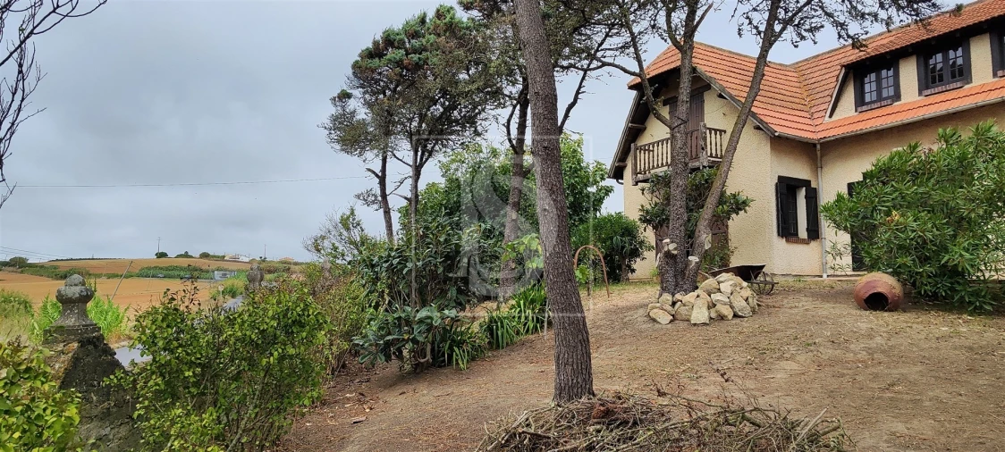Moradia T4 para Venda em Lourinhã e Atalaia Foto 697