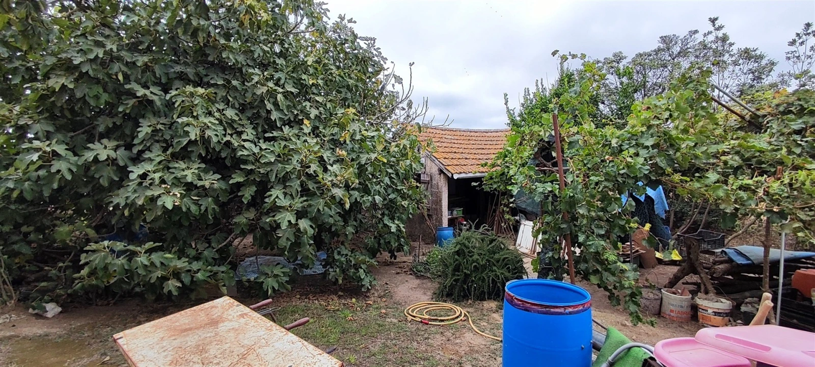 Moradia T4 para Venda em Lourinhã e Atalaia Foto 82