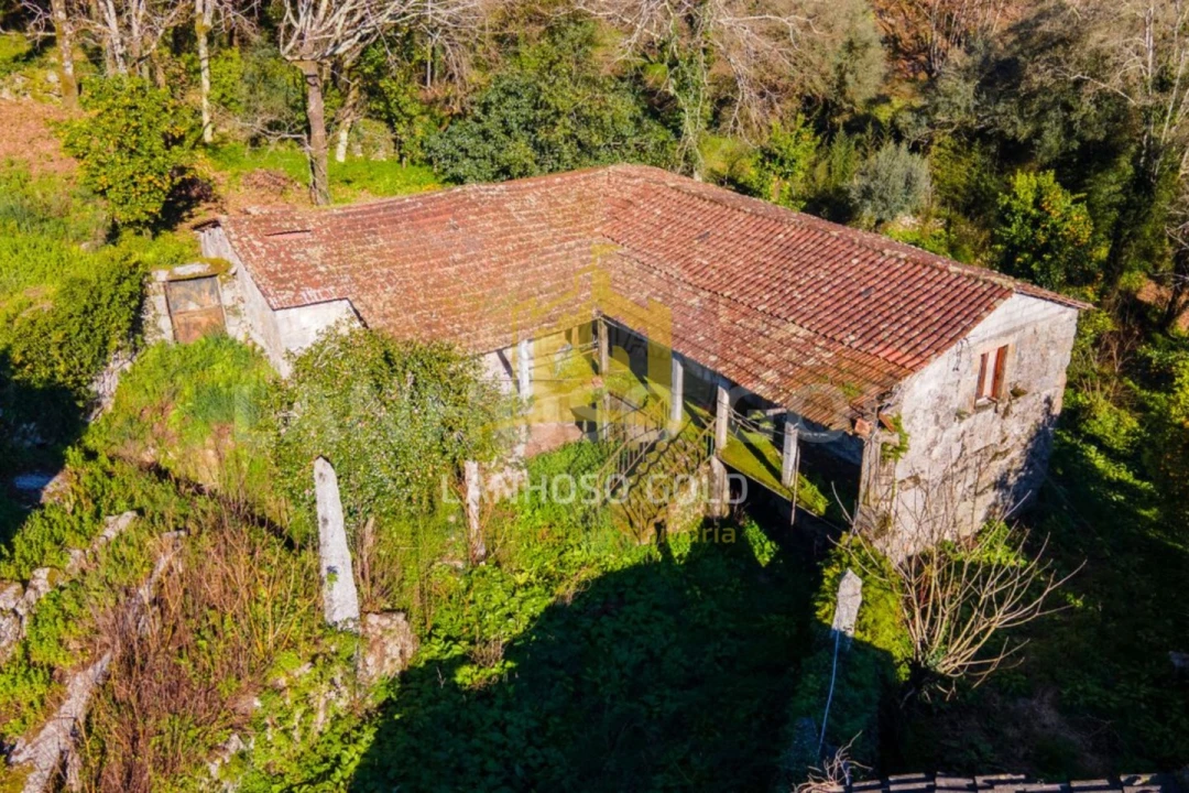 Quinta para Venda em Vilela Foto 1