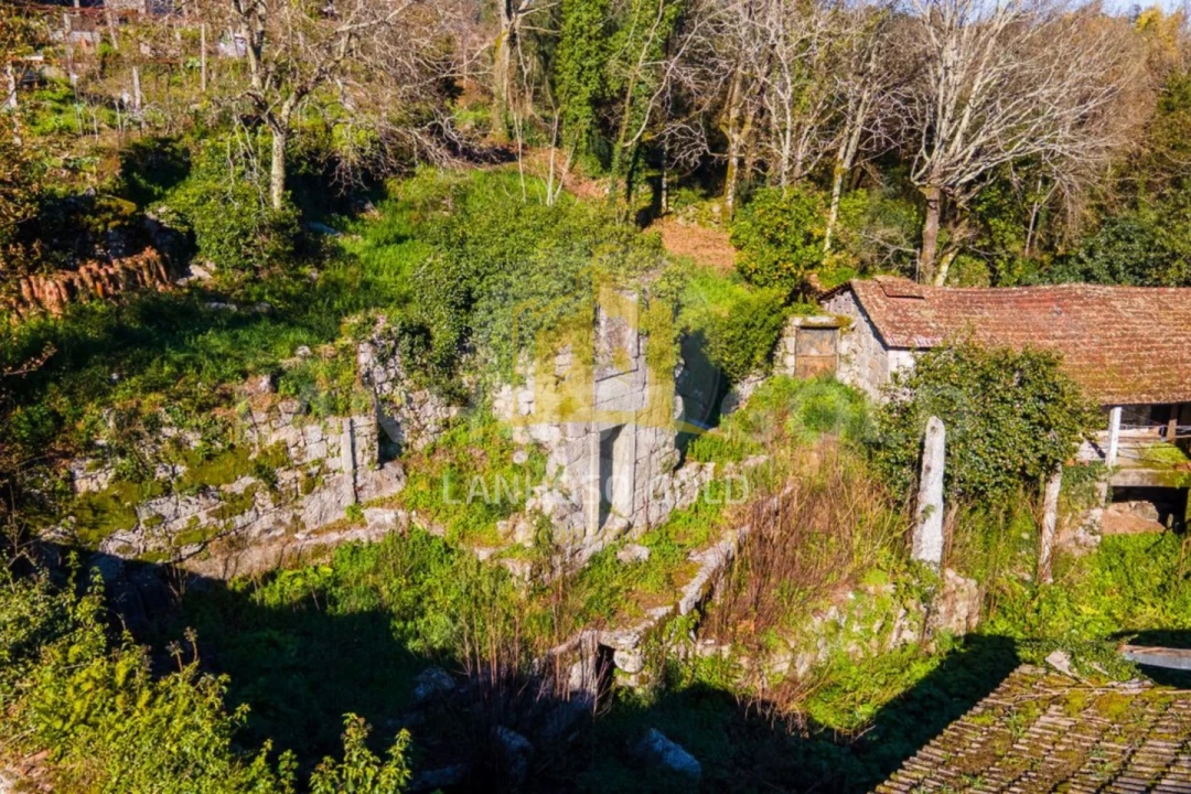 Quinta para Venda em Vilela Foto 4