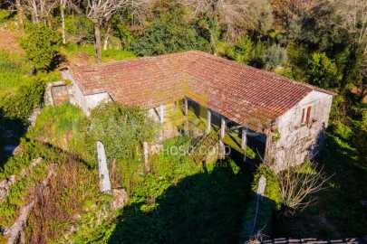 Quinta para Venda em Vilela