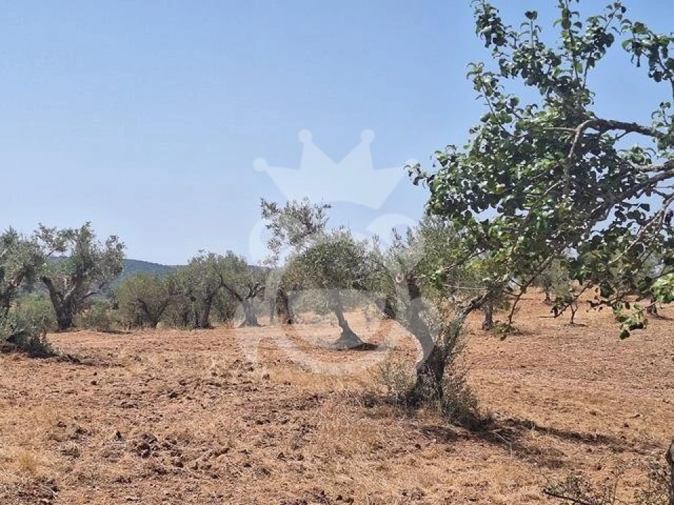 Terreno para Venda em Amieira e Alqueva Foto 5