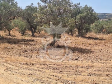 Terreno para Venda em Amieira e Alqueva