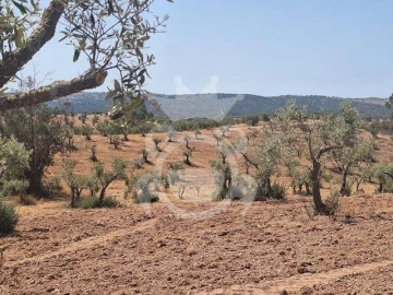 Terreno para Venda em Amieira e Alqueva