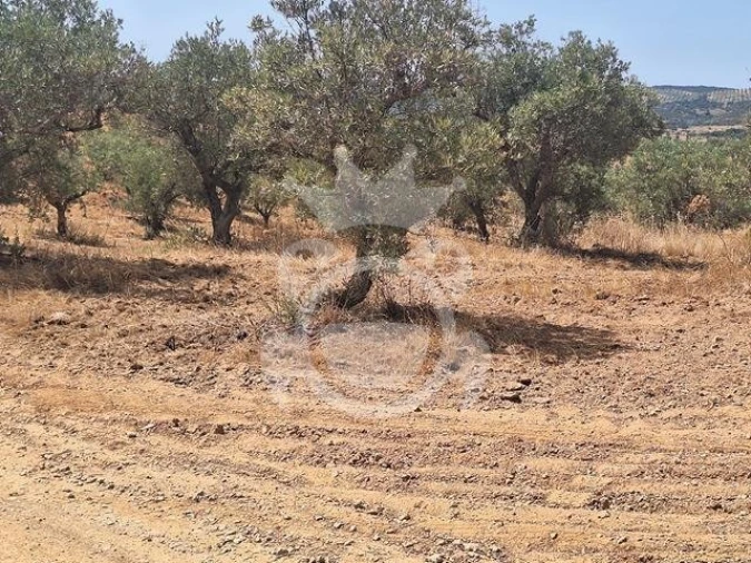 Terreno para Venda em Amieira e Alqueva Foto 6