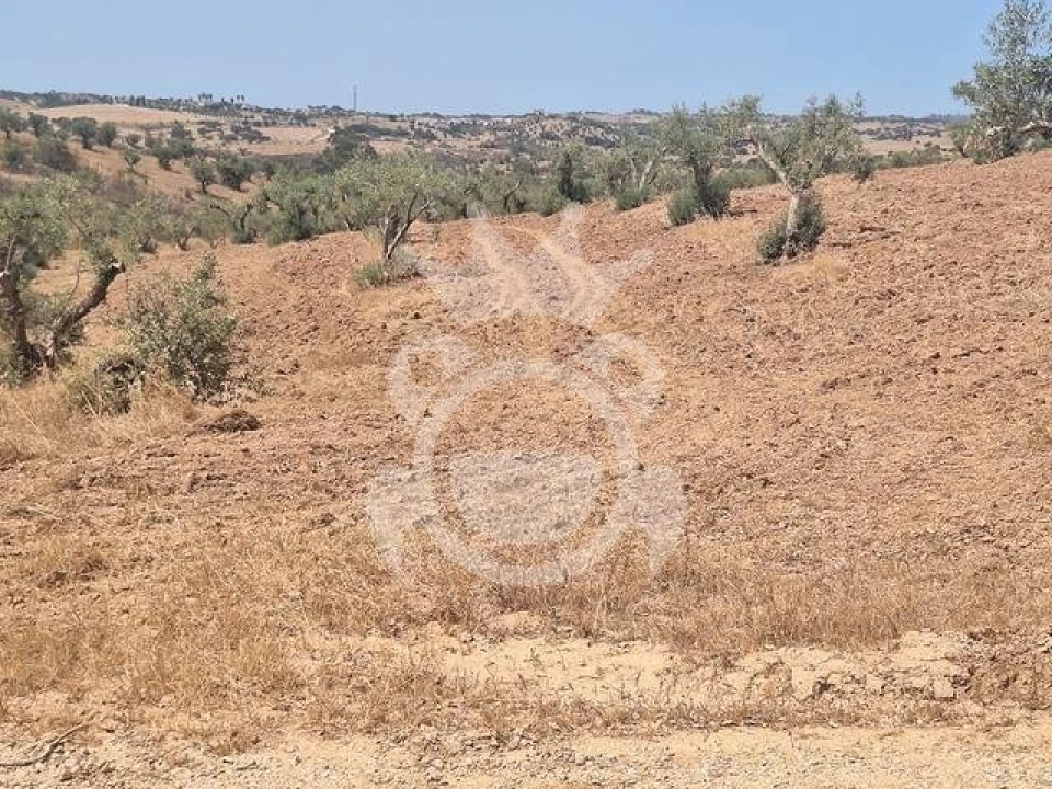 Terreno para Venda em Amieira e Alqueva Foto 8