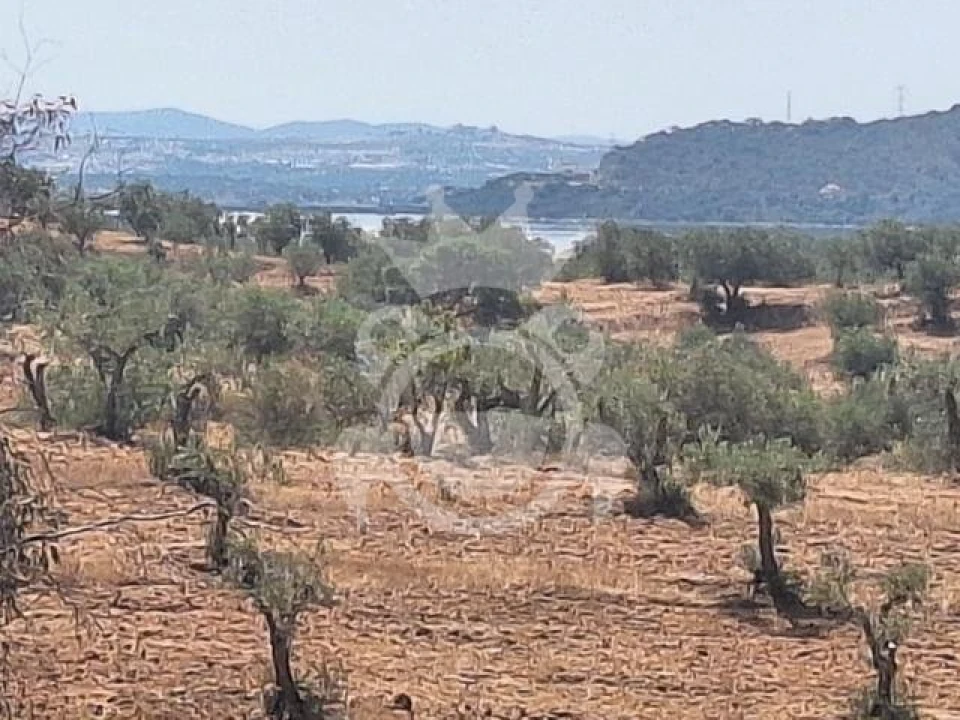 Terreno para Venda em Amieira e Alqueva Foto 1