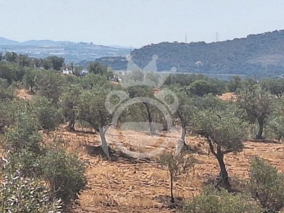Terreno para Venda em Amieira e Alqueva Foto 10