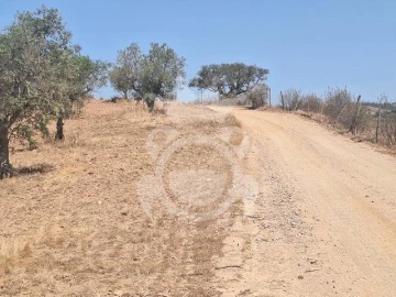 Terreno para Venda em Amieira e Alqueva