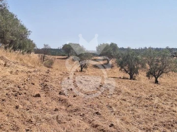 Terreno para Venda em Amieira e Alqueva
