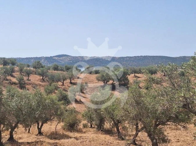 Terreno para Venda em Amieira e Alqueva Foto 3