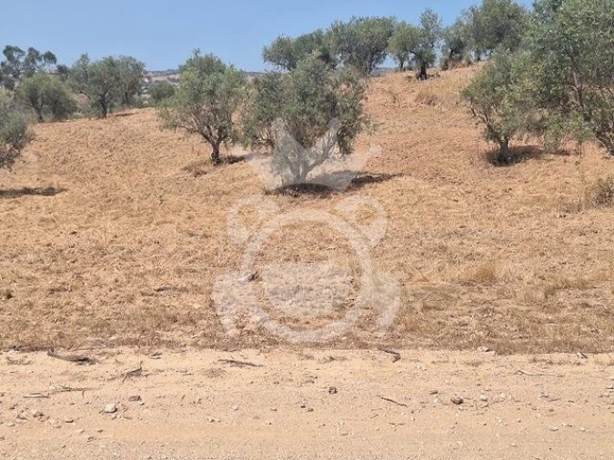 Terreno para Venda em Amieira e Alqueva Foto 6