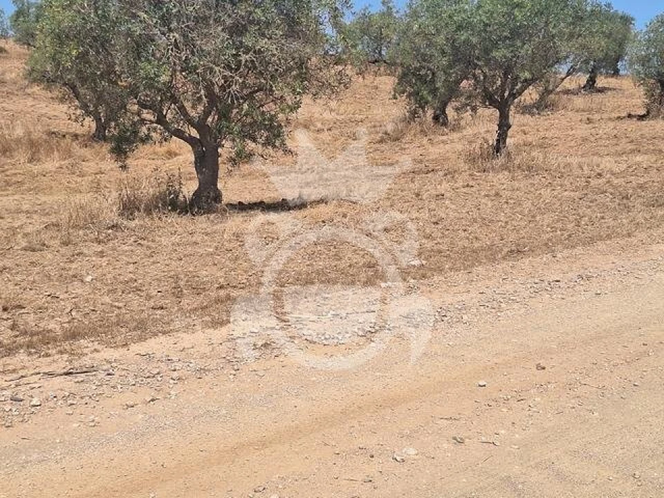 Terreno para Venda em Amieira e Alqueva Foto 7