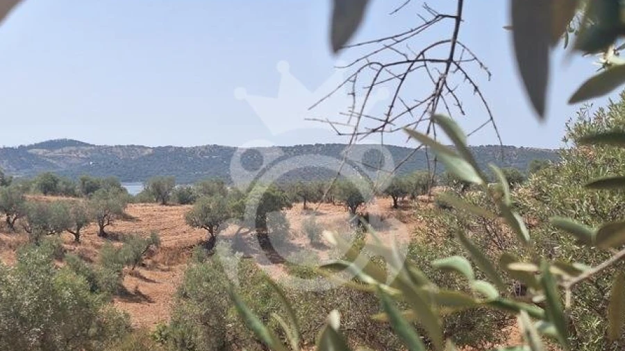 Terreno para Venda em Amieira e Alqueva