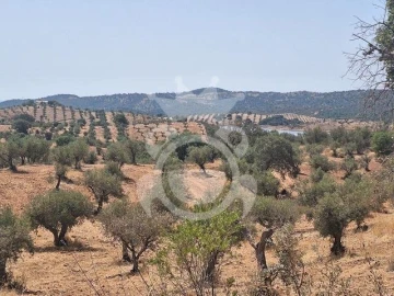 Terreno para Venda em Amieira e Alqueva