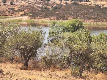 Terreno para Venda em Amieira e Alqueva