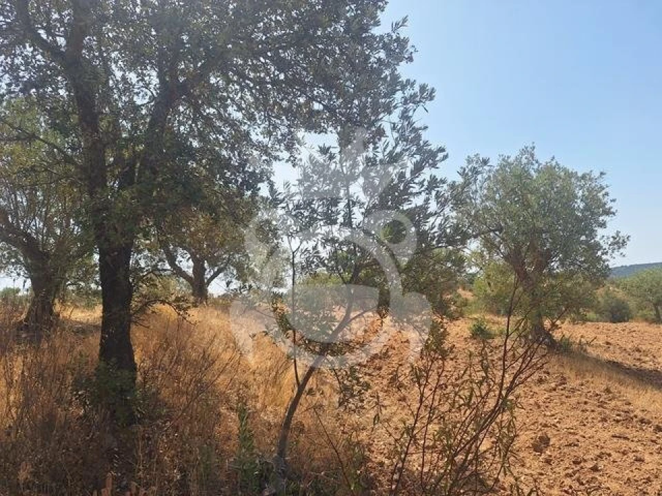 Terreno para Venda em Amieira e Alqueva Foto 6