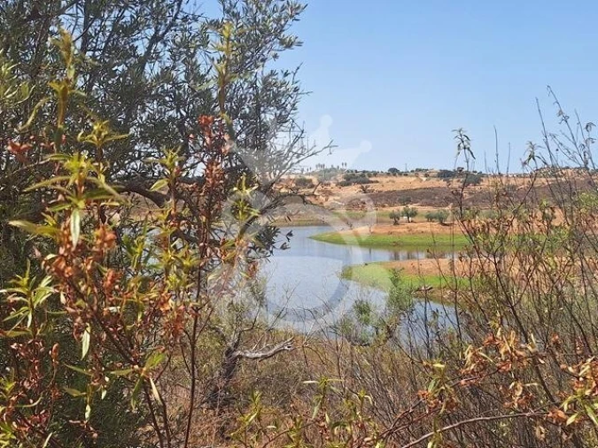Terreno para Venda em Amieira e Alqueva Foto 2
