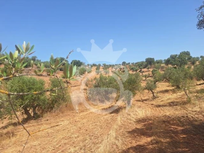 Terreno para Venda em Amieira e Alqueva Foto 8