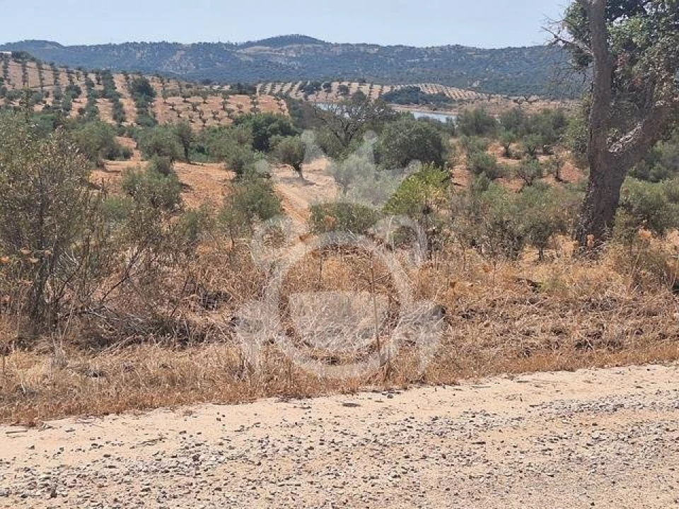 Terreno para Venda em Amieira e Alqueva Foto 12