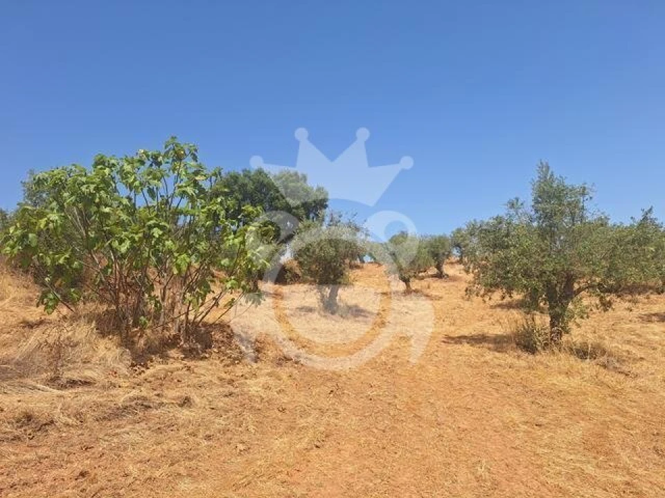 Terreno para Venda em Amieira e Alqueva Foto 10