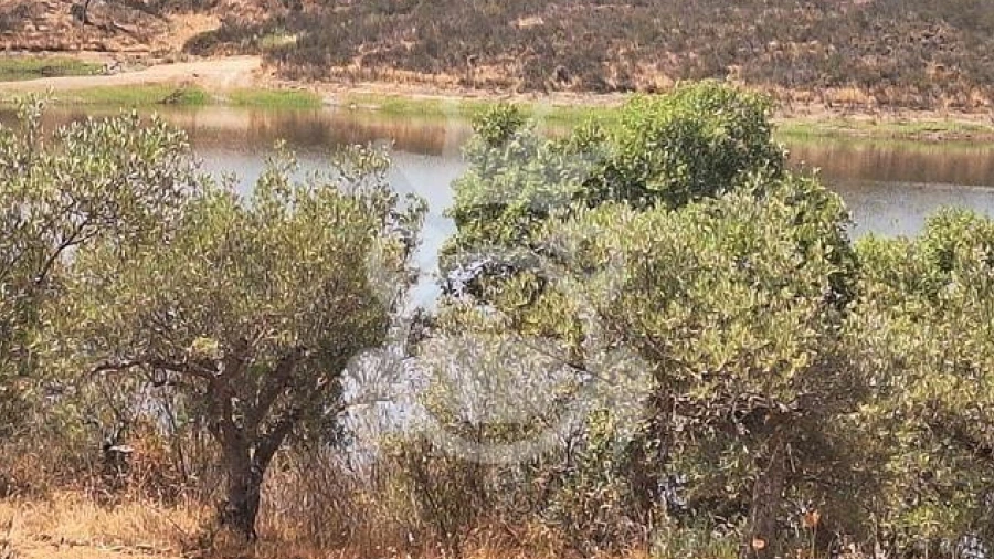 Terreno para Venda em Amieira e Alqueva