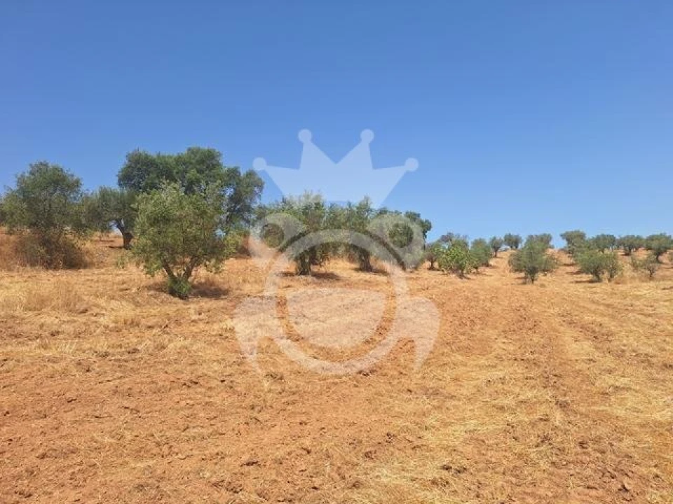 Terreno para Venda em Amieira e Alqueva Foto 9