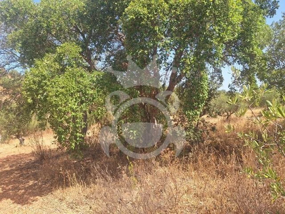 Terreno para Venda em Amieira e Alqueva Foto 7