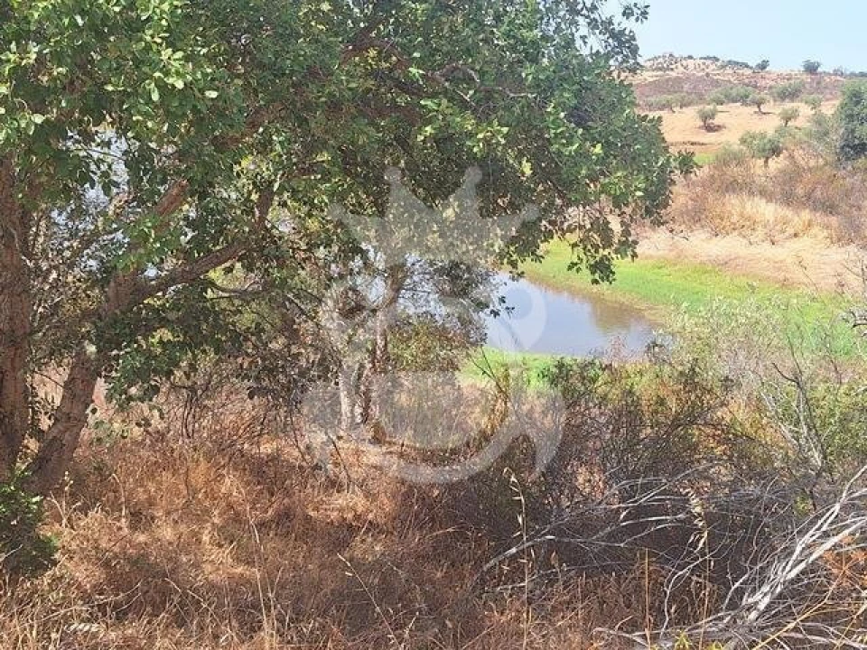 Terreno para Venda em Amieira e Alqueva Foto 3