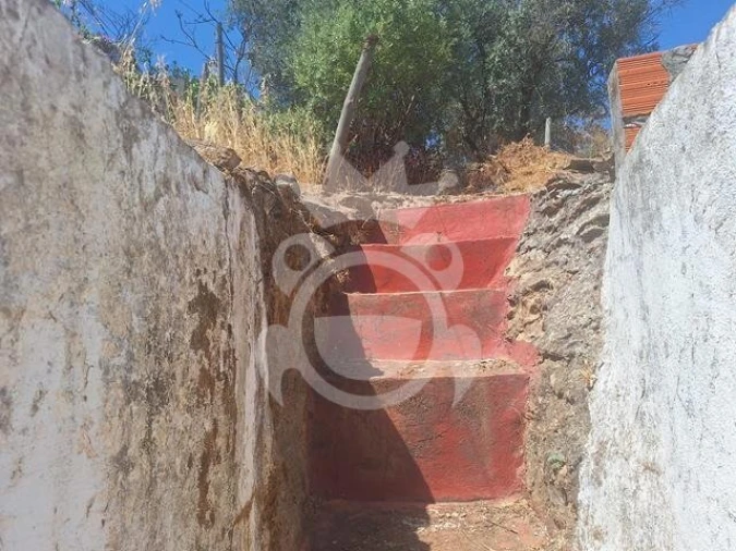 Negócio para Venda em Vera Cruz Foto 12