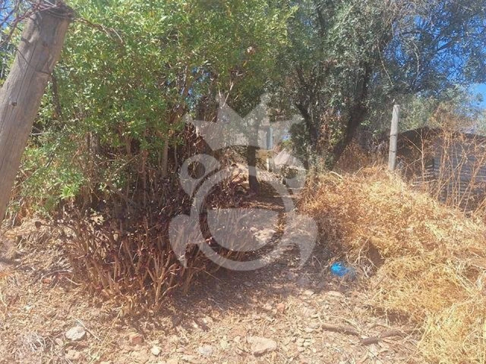 Negócio para Venda em Vera Cruz Foto 13