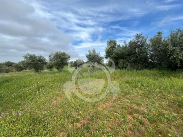 Terreno para Venda em Portel
