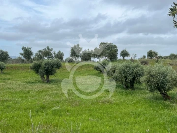 Terreno para Venda em Portel