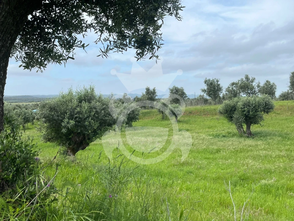 Terreno para Venda em Portel Foto 1