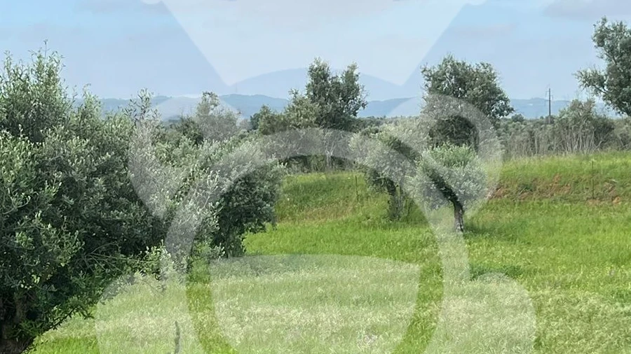 Terreno para Venda em Portel