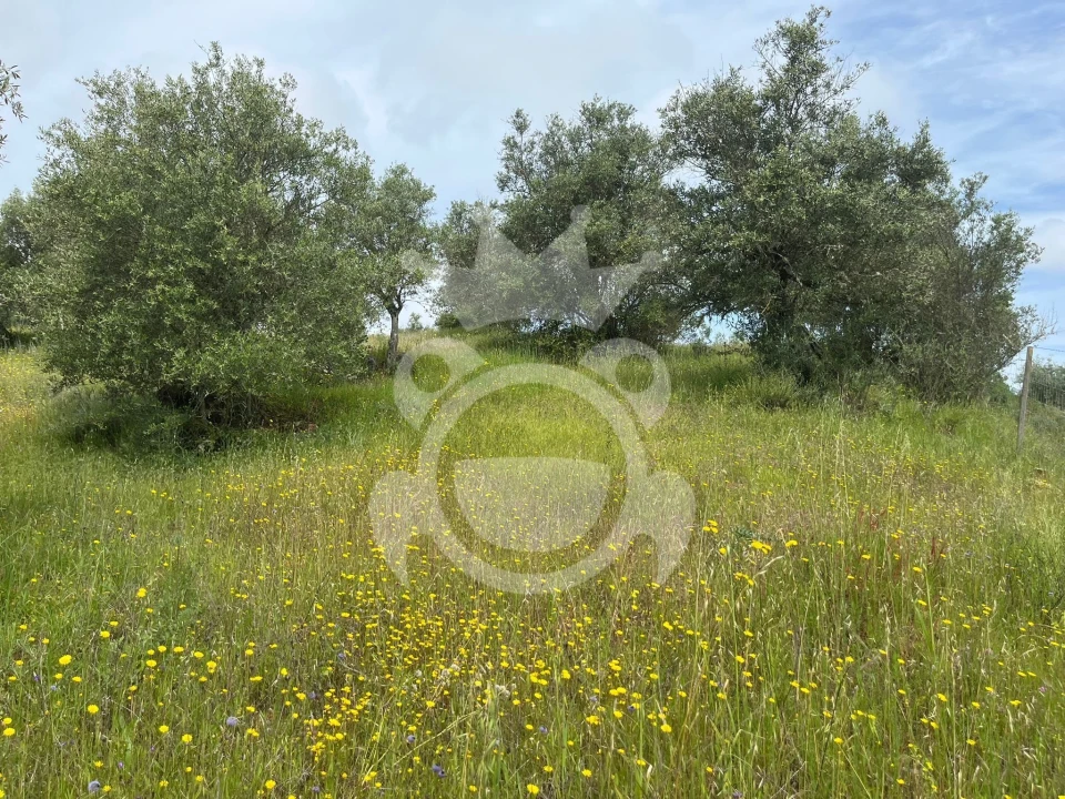 Terreno para Venda em Portel Foto 10
