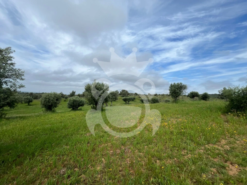 Terreno para Venda em Portel Foto 6