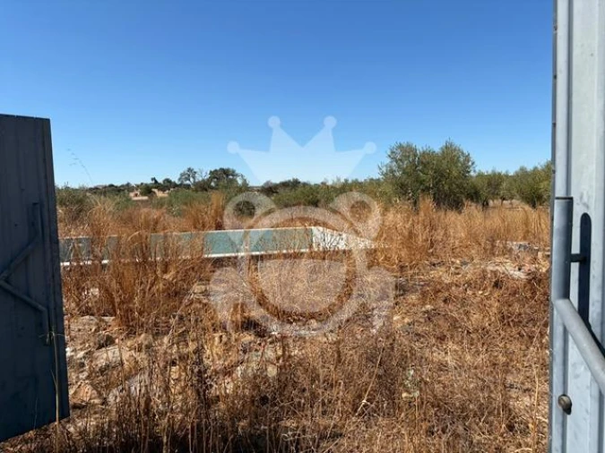 Quinta T4 para Venda em Santiago Maior Foto 18