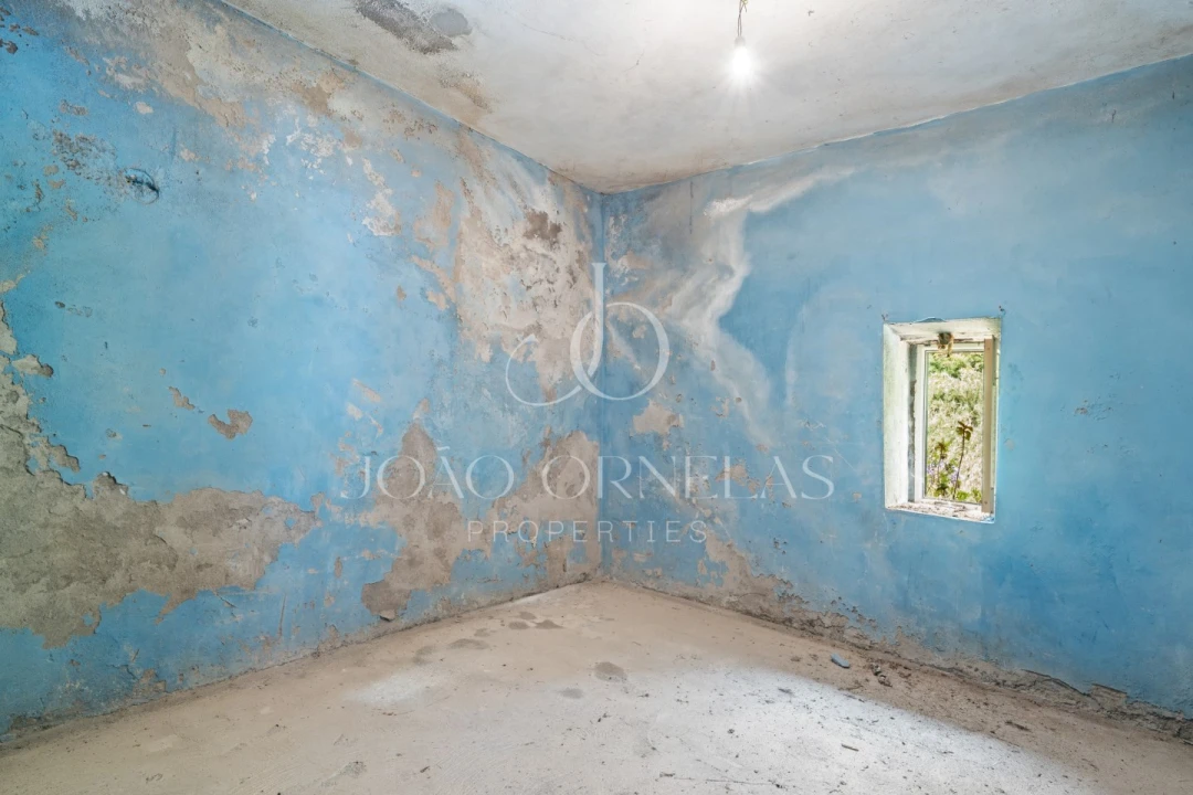 Moradia T3 para Venda em São Vicente Foto 15